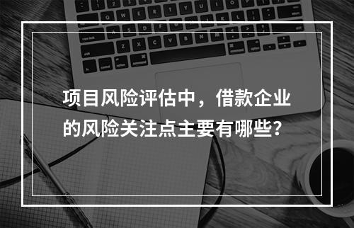 项目风险评估中，借款企业的风险关注点主要有哪些？