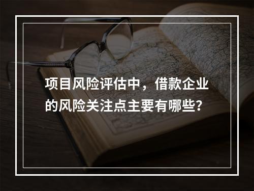 项目风险评估中，借款企业的风险关注点主要有哪些？