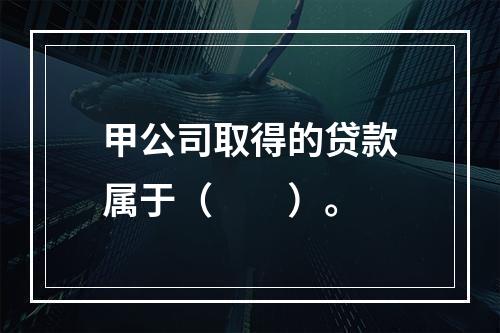 甲公司取得的贷款属于（　　）。