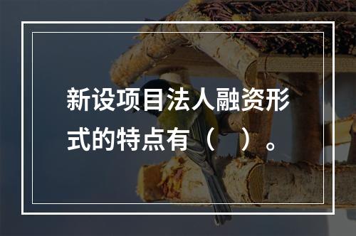 新设项目法人融资形式的特点有（　）。