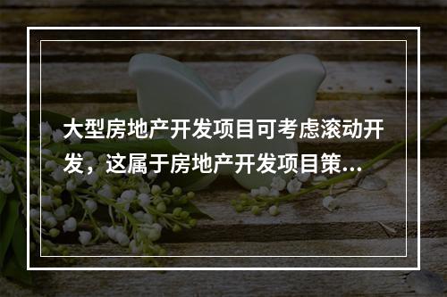 大型房地产开发项目可考虑滚动开发，这属于房地产开发项目策划中