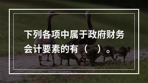 下列各项中属于政府财务会计要素的有（　）。