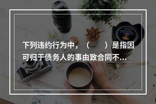 下列违约行为中，（　　）是指因可归于债务人的事由致合同不能