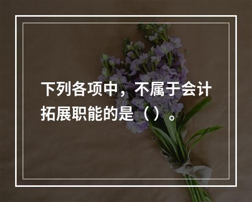 下列各项中，不属于会计拓展职能的是（ ）。