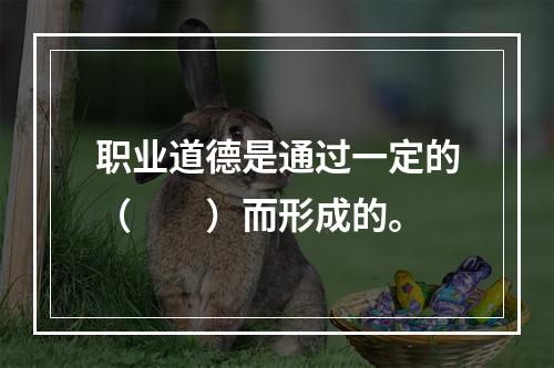 职业道德是通过一定的（　　）而形成的。