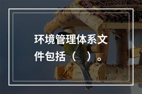 环境管理体系文件包括（　）。