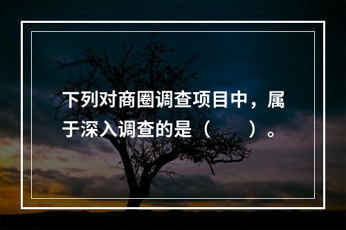 下列对商圈调查项目中，属于深入调查的是（　　）。