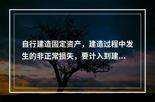 自行建造固定资产，建造过程中发生的非正常损失，要计入到建造成