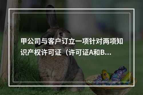 甲公司与客户订立一项针对两项知识产权许可证（许可证A和B）的