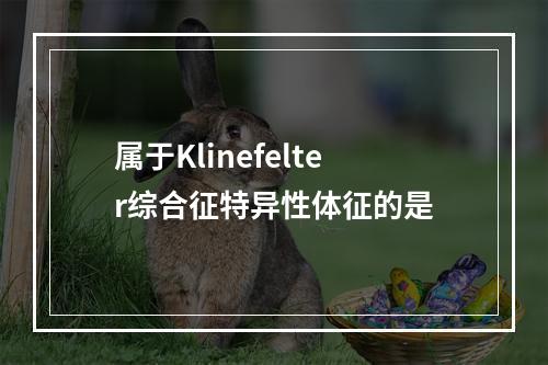 属于Klinefelter综合征特异性体征的是