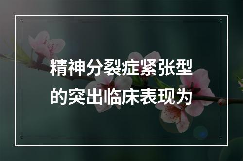 精神分裂症紧张型的突出临床表现为