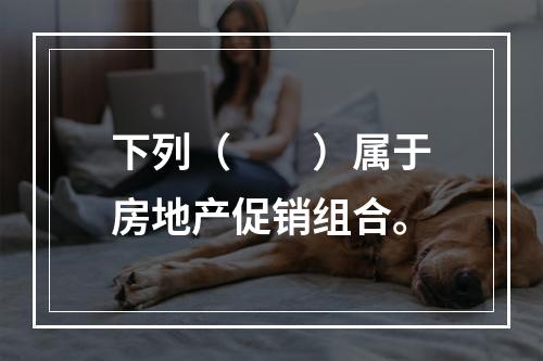 下列（　　）属于房地产促销组合。