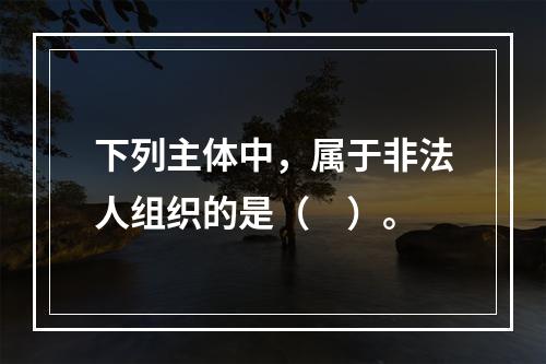 下列主体中，属于非法人组织的是（　）。