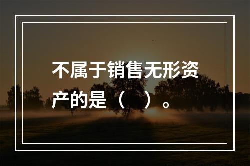 不属于销售无形资产的是（　）。