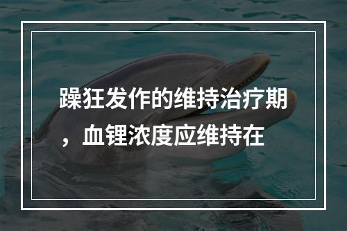 躁狂发作的维持治疗期，血锂浓度应维持在