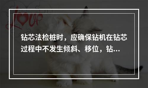 钻芯法检桩时，应确保钻机在钻芯过程中不发生倾斜、移位，钻芯孔