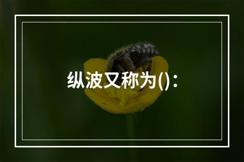 纵波又称为()：