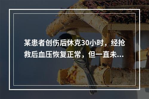 某患者创伤后休克30小时，经抢救后血压恢复正常，但一直未排尿