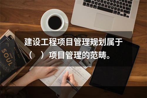 建设工程项目管理规划属于（　）项目管理的范畴。