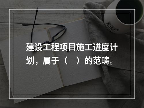 建设工程项目施工进度计划，属于（　）的范畴。