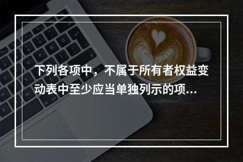 下列各项中，不属于所有者权益变动表中至少应当单独列示的项目是