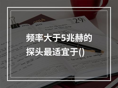 频率大于5兆赫的探头最适宜于()