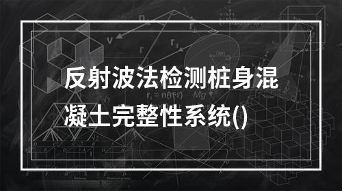 反射波法检测桩身混凝土完整性系统()