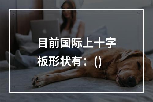 目前国际上十字板形状有：()