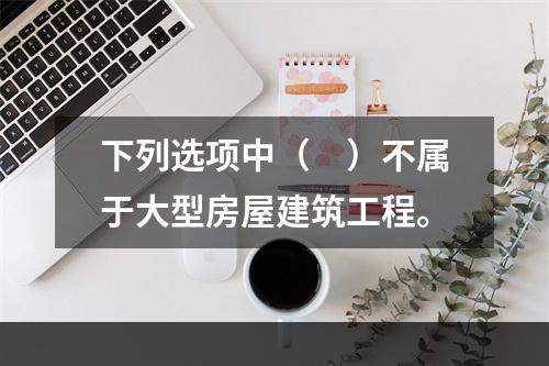 下列选项中（　）不属于大型房屋建筑工程。