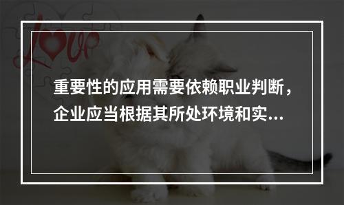 重要性的应用需要依赖职业判断，企业应当根据其所处环境和实际情