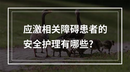 应激相关障碍患者的安全护理有哪些?