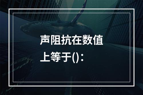 声阻抗在数值上等于()：