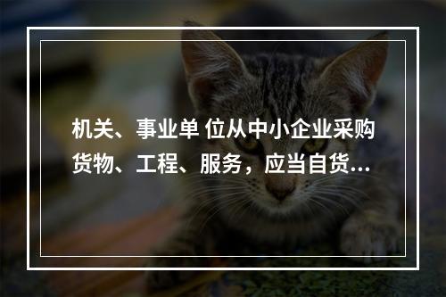 机关、事业单 位从中小企业采购货物、工程、服务，应当自货物、