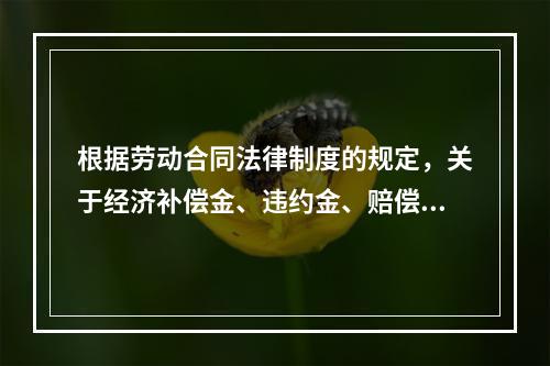 根据劳动合同法律制度的规定，关于经济补偿金、违约金、赔偿金的