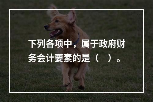 下列各项中，属于政府财务会计要素的是（　）。