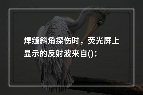 焊缝斜角探伤时，荧光屏上显示的反射波来自()：