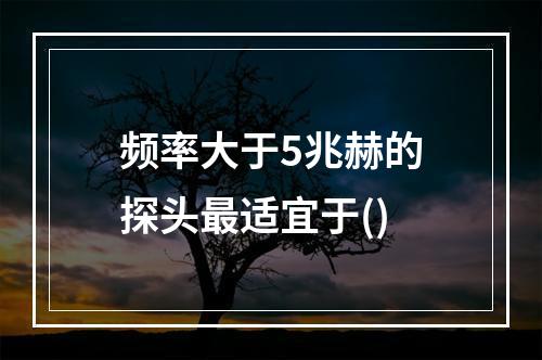 频率大于5兆赫的探头最适宜于()