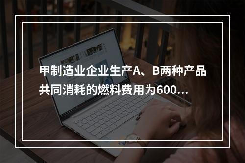 甲制造业企业生产A、B两种产品共同消耗的燃料费用为6000元