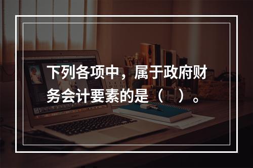 下列各项中，属于政府财务会计要素的是（　）。