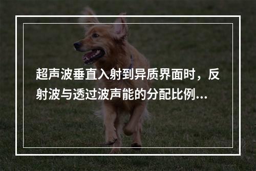 超声波垂直入射到异质界面时，反射波与透过波声能的分配比例取决