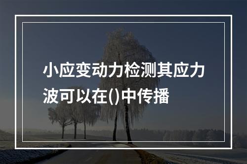 小应变动力检测其应力波可以在()中传播