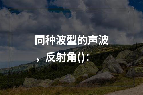 同种波型的声波，反射角()：