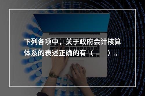 下列各项中，关于政府会计核算体系的表述正确的有（　　）。