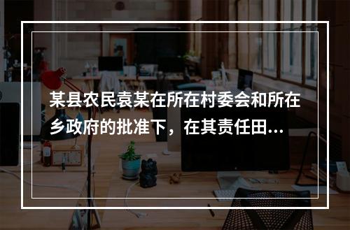 某县农民袁某在所在村委会和所在乡政府的批准下，在其责任田内建