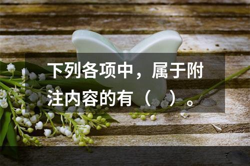 下列各项中，属于附注内容的有（　）。