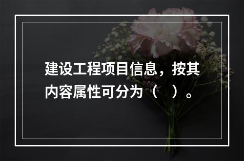 建设工程项目信息，按其内容属性可分为（　）。