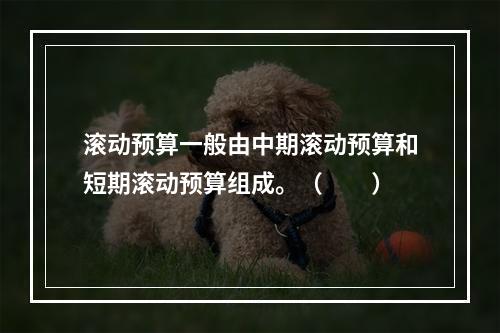 滚动预算一般由中期滚动预算和短期滚动预算组成。（　　）