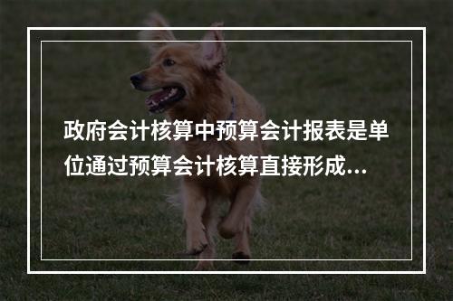 政府会计核算中预算会计报表是单位通过预算会计核算直接形成的报