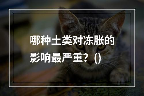 哪种土类对冻胀的影响最严重？()