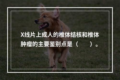 X线片上成人的椎体结核和椎体肿瘤的主要鉴别点是（　　）。